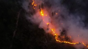 Stare de urgență în Rusia. Incendiile amenință un centru de cercetare nucleară (VIDEO)