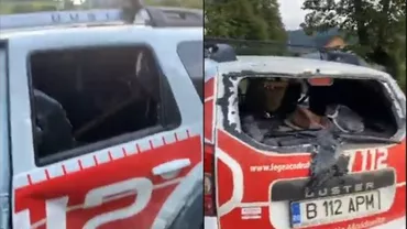 Garda Forestieră Suceava susține că nu a identificat nereguli sau tăieri ilegale de arbori pe fondul forestier unde au fost agresați un activist și doi jurnaliști