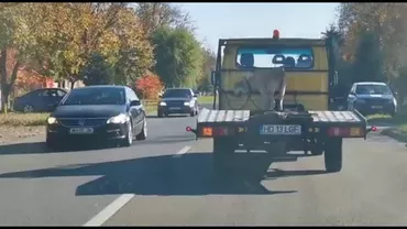 Caransebeș: Imagini revoltatoare surprinse în trafic. Un câine a fost legat de platforma unei camionete