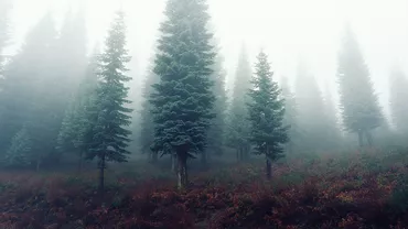 Prognoză meteo. Vremea se menţine rece în majoritatea regiunilor