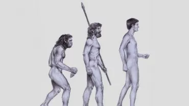 Un studiu publicat în revista Nature confirmă: Oamenii din epoca de piatră erau mai inteligenţi decât noi