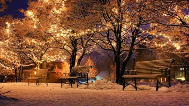 Iluminatul festiv va fi aprins pe arterele principale ale Sectorului 6 începând de joi