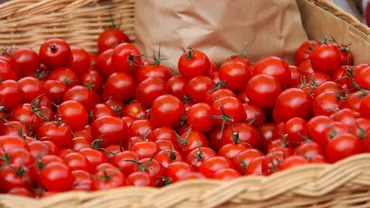 Pagube de zeci de mii de lei pentru fermieri. Tone de roșii românești, aruncate pe câmp pentru că agricultorii nu au cui să le vândă