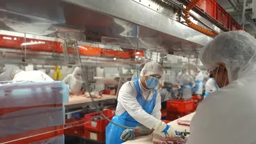 „Sclavie modernă” | Cum sunt exploatați muncitorii români și bulgari la abatorul Tönnies din Germania: „Este legal, dar inuman”