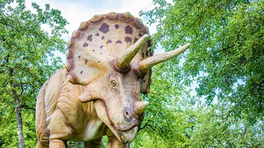 Un ou de dinozaur rar, perfect conservat, descoperit în China