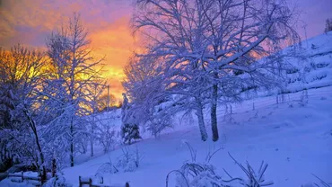 Solstițiul de iarnă 2021. Ce tradiții respectă românii și ce nu ai voie să faci dacă vrei ca anul viitor să fie unul bun