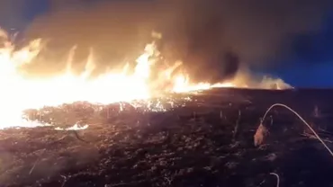 Incendiu puternic în Olt. 70 de hectare de vegetație au ars în lunca Dunării, la Gârcov (VIDEO)