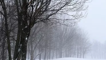 Cod galben de vânt puternic în zonele de munte din judeţele Argeş, Prahova şi Dâmboviţa, joi dimineaţa