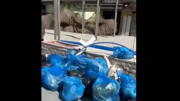 Un grup de refugiați ucraineni găzduiți în Mamaia Nord au curățat plaja din proprie inițiativă (VIDEO)