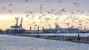 Ofițerul NATO a numit două orașe ucrainene care ar putea deveni o nouă țintă pentru Rusia