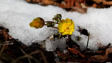 Ninsori și ger, anunțate în Săptămâna Mare. Cum va fi vremea de Paște și unde va ninge duminică  (VIDEO)