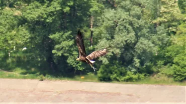 Capitala europeană unde natura e la tot pasul. 95% dintre locuitori trăiesc la 300 de metri de un parc