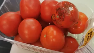 Brânză expirată, legume şi fructe mucegăite, alimente fără etichetă: Comisarii de la protecţia consumatorilor au aplicat amenzi de 60.000 de lei comercianților din cea mai mare piața privată din Ploiești