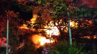 Două gospodării au ars în urma unui incendiu puternic în Neamț, o persoană a suferit arsuri