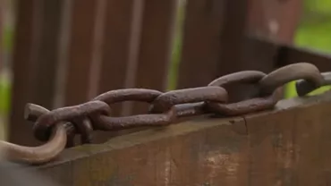 Compania Volkswagen este anchetată pentru sclavie modernă în Brazilia