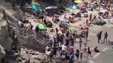 Doi lei de mare au reușit să alunge zeci de oameni de pe plajă: „Fugeau ca și când erau urmăriți de Godzilla”(VIDEO)