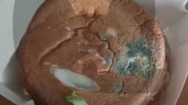 Insecte și mucegai: cum a fost „înlocuit” McDonald’s în Rusia (video)
