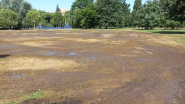 Parcul Izvor din Bucureşti arată deplorabil la câteva zile după ce a avut loc Festivalul Nostalgia: Iarba este complet uscată iar deşeurile sunt la tot pasul