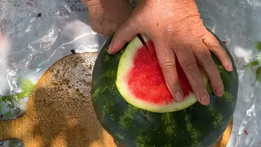 Nu mai arunca coaja de pepene după ce mănânci miezul. Iată ce poți face cu ea