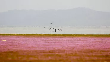 Alertă națională de secetă în China. Căldura extremă face ravagii în mai multe regiuni, iar autoritățile se luptă cu incendiile și fac eforturi să protejeze culturile de temperaturile arzătoare (VIDEO)