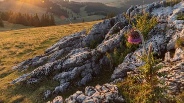 Uraniu și metale rare descoperite în Munții Apuseni de o companie canadiană. Cum s-ar putea schimba harta resurselor din România