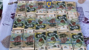 Valiză cu bani, găsită de polițiști îngropată în pământ / Sumele proveneau din furturi de cupru
