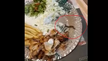 Cu melcul viu în farfurie! Un restaurant din Oradea, amendat de Protecția Consumatorilor