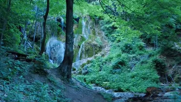 Două comori sălbatice din inima Bănatului, prea puțin cunoscute de turiști (VIDEO)