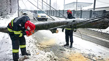 Copaci rupți din cauza zăpezii în municipiul Suceava. A fost nevoie de intervenția pompierilor militari (FOTO)