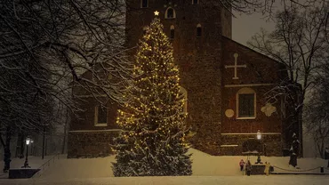 Împodobitul bradului, una dintre cele mai frumoase tradiții de Crăciun / Cum a ajuns în România