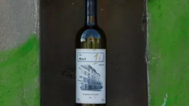 Cât costă o sticlă de vin roşu de la cea mai mică podgorie din lume: „Sunt singurul producător din lume care spune că nu ar trebui să îi bei vinul”