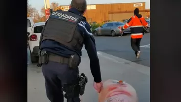 Un porc care urma să fie sacrificat de români a fost salvat de Jandarmeria Franceză de la tăiere și condus la secție (VIDEO)