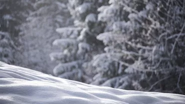 Val de frig peste România. Ce a spus Iris Răducanu, meteorolog ANM, despre starea vremii (VIDEO)