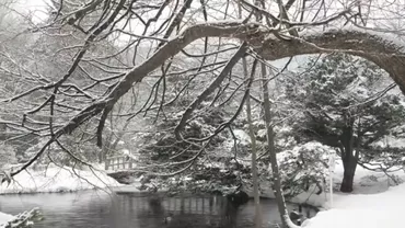 Prognoza meteo 21 decembrie: vreme anormal de caldă înainte de Crăciun. În ce regiuni ninge