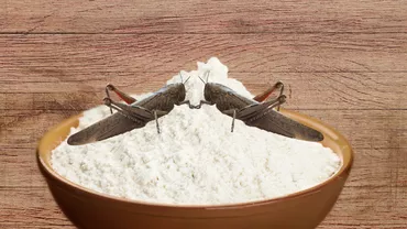 Făina de insecte, interzisă în produsele tradiționale românești / Legea a fost votată astăzi