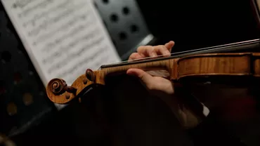 Viena: Arestări în pauza Concertului de Anul Nou