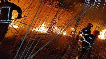 Un bărbat a murit în Bacău, în urma unui incendiu de vegetație. Patru echipaje de pompieri au intervenit pentru stingerea flăcărilor