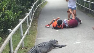 Inconștiență ieșită din comun: Doi turiști din Florida s-au întins în fața unui aligator pentru un selfie