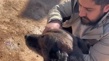 Salvatorii oameni și câini din Turcia împart apa potabilă, epuizați după căutări de câte 30 de ore