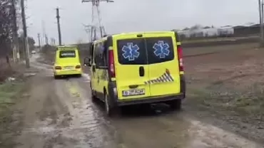 Galați: O femeie a fost rănită grav după ce a fost atacată de o haită de câini. Bărbatul care i-a sărit în ajutor, rănit și el