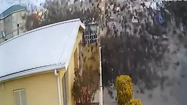 Imagini îngrozitoare cu un stol de păsări care s-a prăbușit peste o casă. Care e explicația