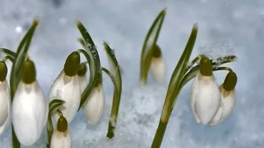 Vremea, 21 martie aduce temperaturi de 14 grade, dar și precipitații în majoritatea regiunilor