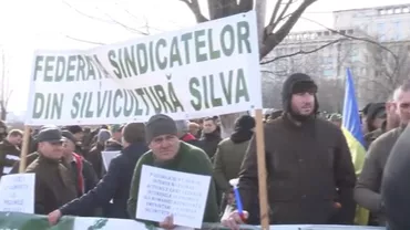 Reducerile salariale îi scot pe silvicultori în stradă. Se anunță proteste la Ministerul Mediului