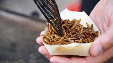 ANPC, reguli noi pentru comercianții care vând produse alimentare ce conțin insecte