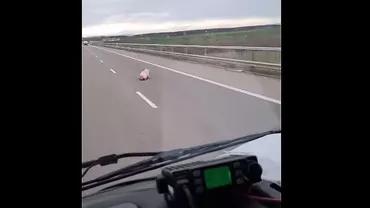 Porci pe autostrada A3. Imagini incredibile filmate de șoferi (VIDEO)