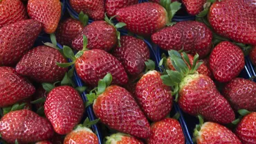 Trucul secret care te ajută să păstrezi căpșunile proaspete în frigider pentru o perioadă mai lungă. Ai nevoie de 2 ingrediente