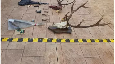 Peste cinci tone de carne de vânat și 197 de trofee, confiscate de la braconieri în urma perchezițiilor