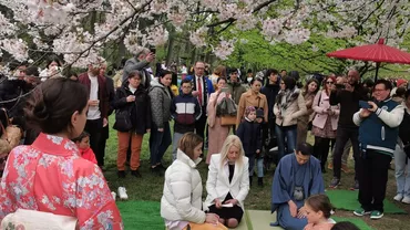 EXCLUSIV // Sosirea primăverii, marcată în stil japonez sub cireşii în floare din Parcul Herăstrău. Excelența sa, ambasadorul Hiroshi Ueda: “Cred că sunt foarte mulți români care iubesc cultura japoneză (VIDEO)