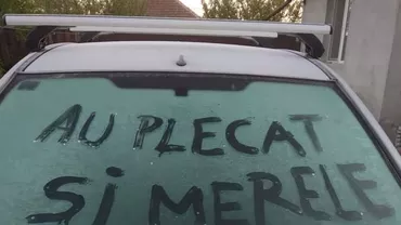 După ce și-au luat adio de la cireșe și caise, pomicultorii din unele zone au rămas și fără mere sau căpșuni, din cauza gerului târziu: Ne prind cireșele de import cu izmenele pe noi