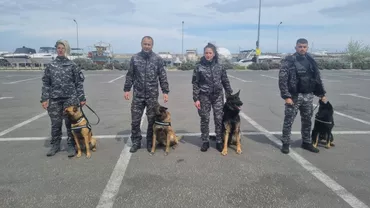 Peste 250 de polițiști, 160 de autospeciale, 10 aparate radare și echipaje canine vor acționa zilnic, în mini-vacanța de 1 mai, în județul Constanța